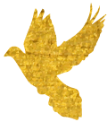 DƬ