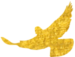 DƬ