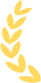 DƬ