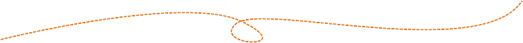 DƬ