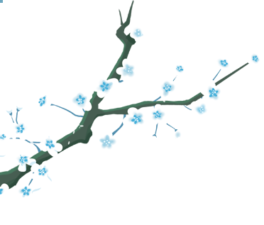 DƬ