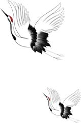 DƬ