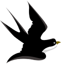 DƬ