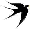 DƬ