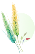 DƬ