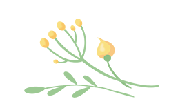 DƬ