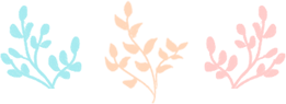 DƬ