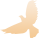 DƬ