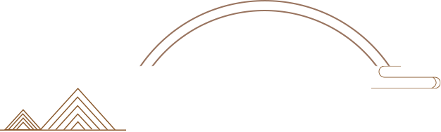 DƬ