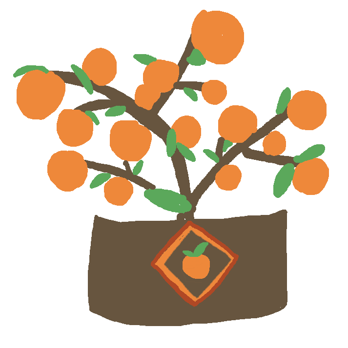 DƬ
