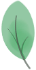 DƬ