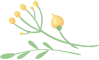 DƬ