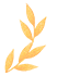 DƬ